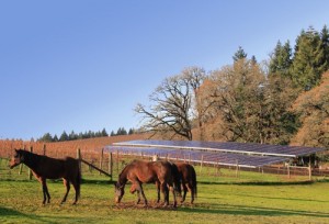 86.4 KW Ground Mounted Solar PV Farm System  Dayton, OR
